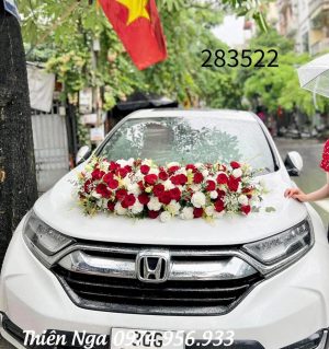 trang trí xe hoa rẻ ở Hà Nội