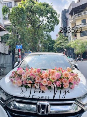 trang trí xe hoa