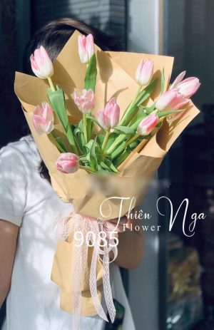 hoa tulip tươi