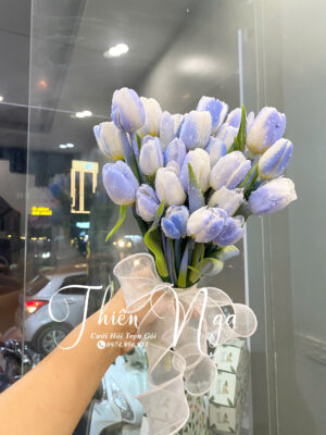 Tình em đại dương tulip xanh dương