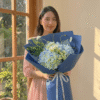 Cẩm tú cầu xanh mát