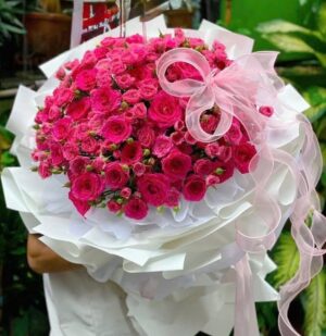 Công chúa sophia của em