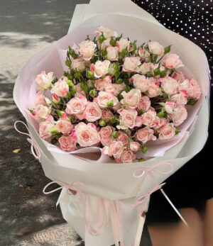 Hồng Chiết xẠ NGỌT NGÀO